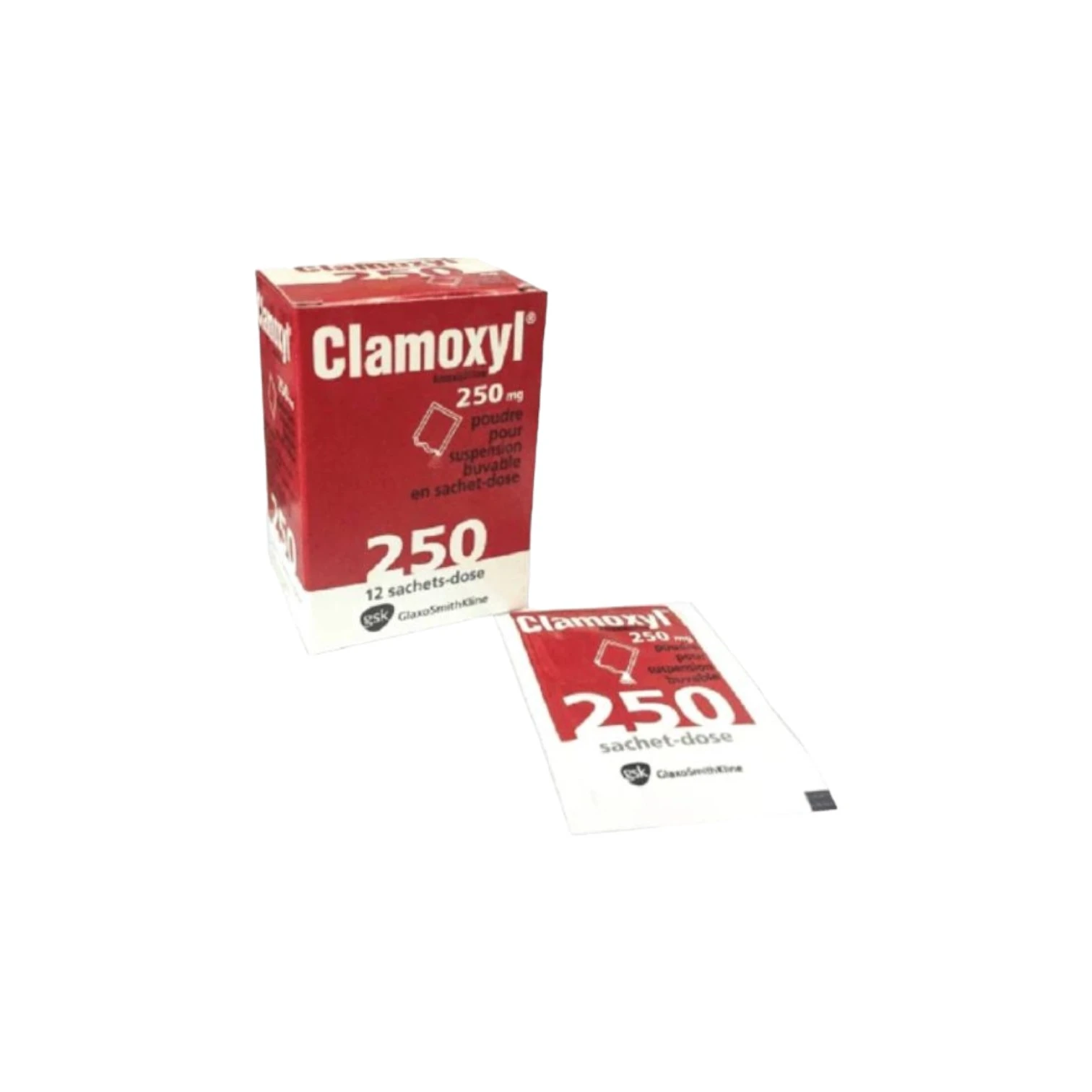 Clamoxyl 250mg 12 កញ្ចប់/ប្រអប់ 
