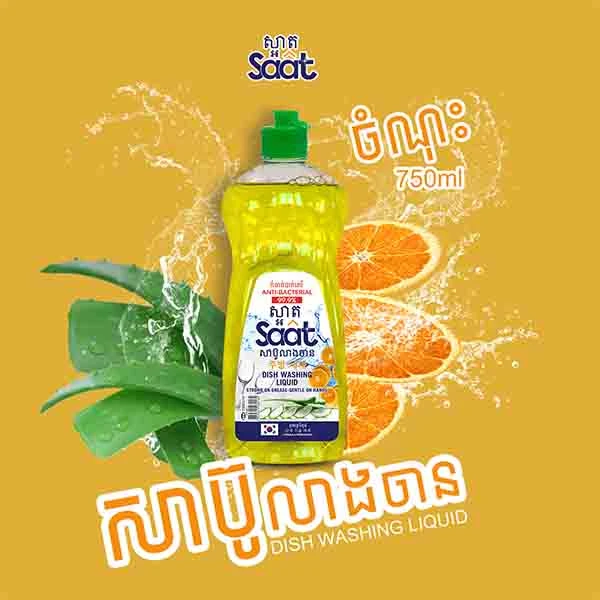 Saat Dish Washing Anti-Bacterial 750g