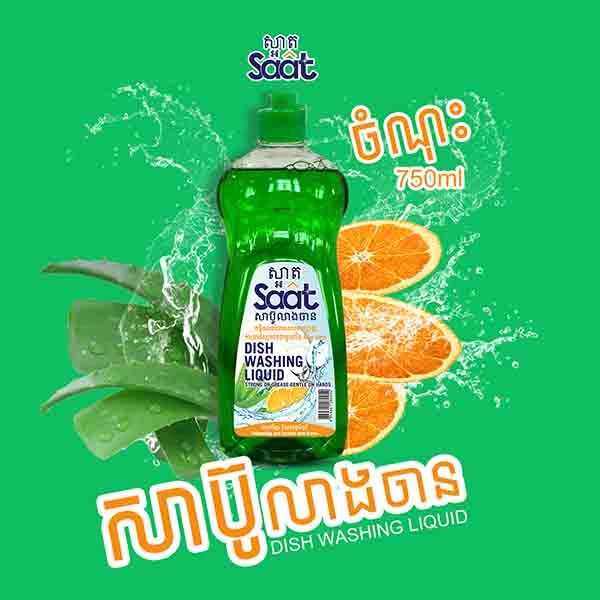 Saat Dish Washing 750g
